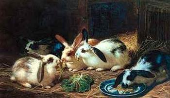 unknow artist Rabbits 116 France oil painting art